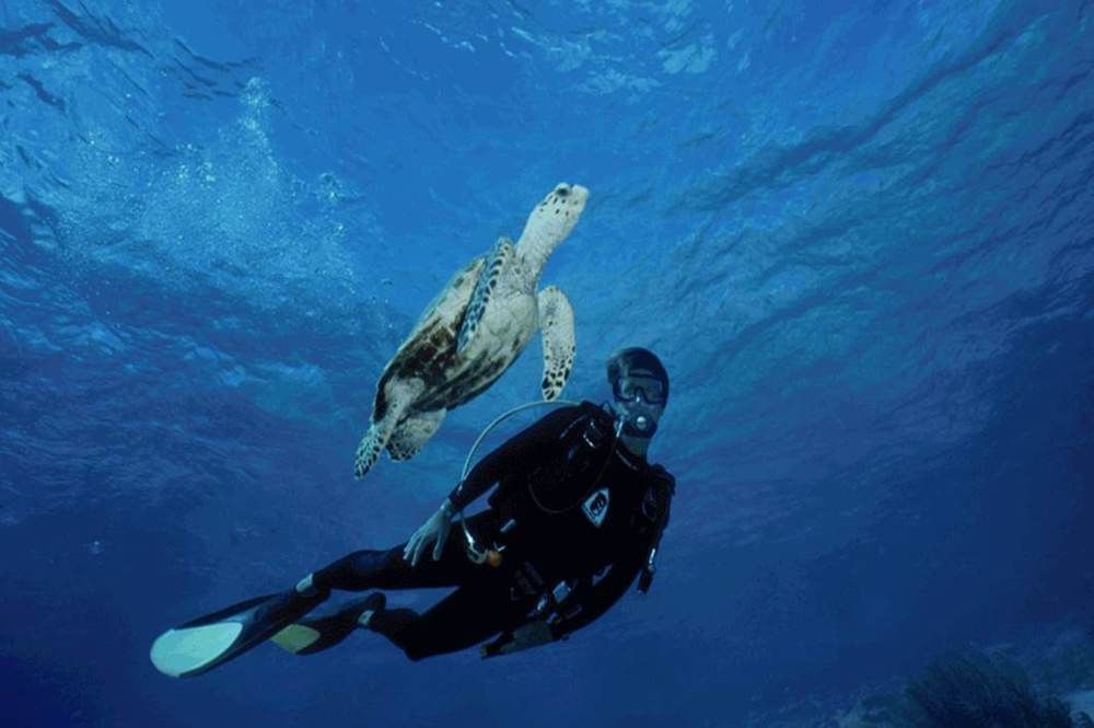 Sand Dollar Bonaire Kralendijk Eksteriør bilde