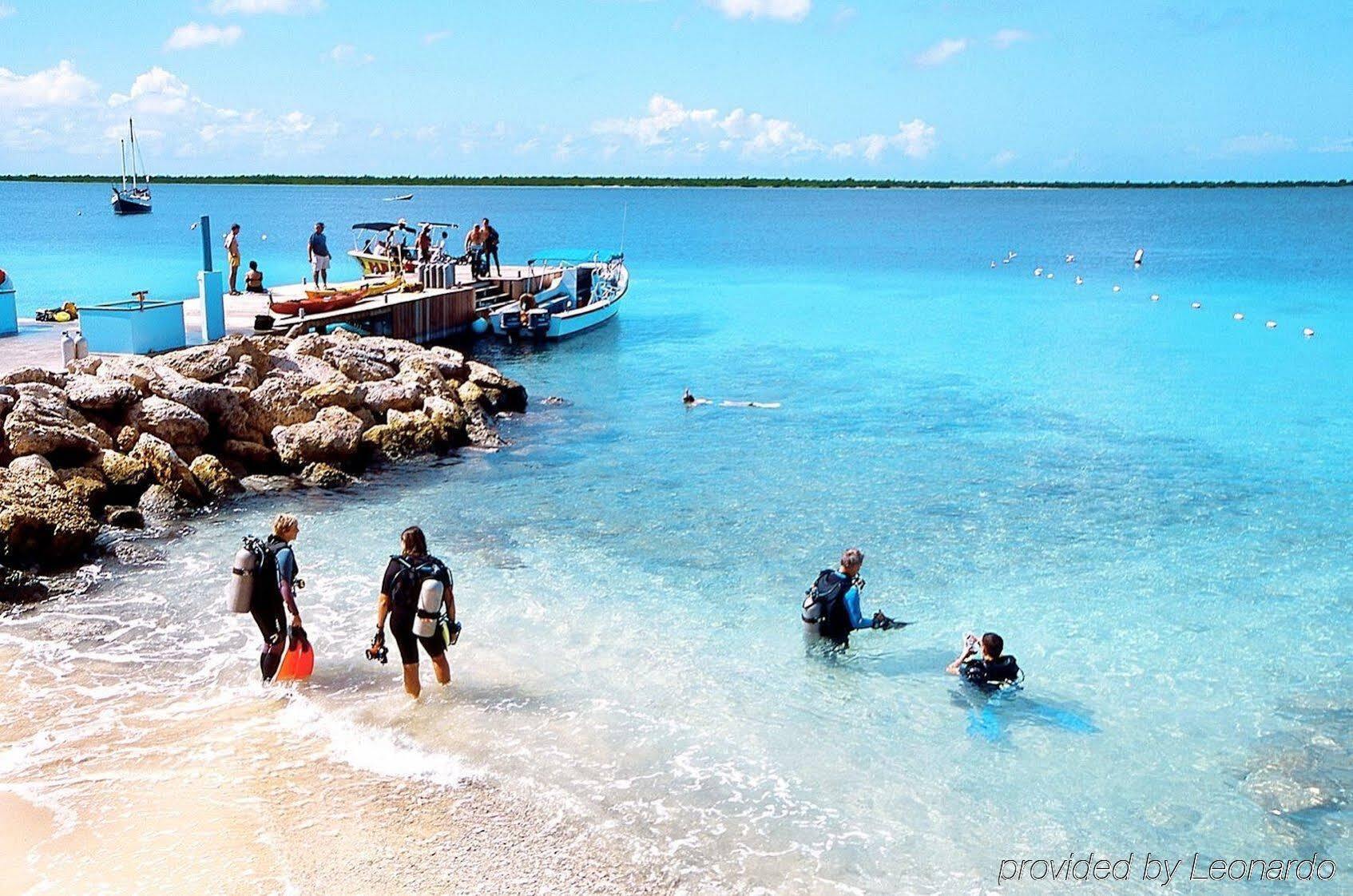 Sand Dollar Bonaire Kralendijk Eksteriør bilde